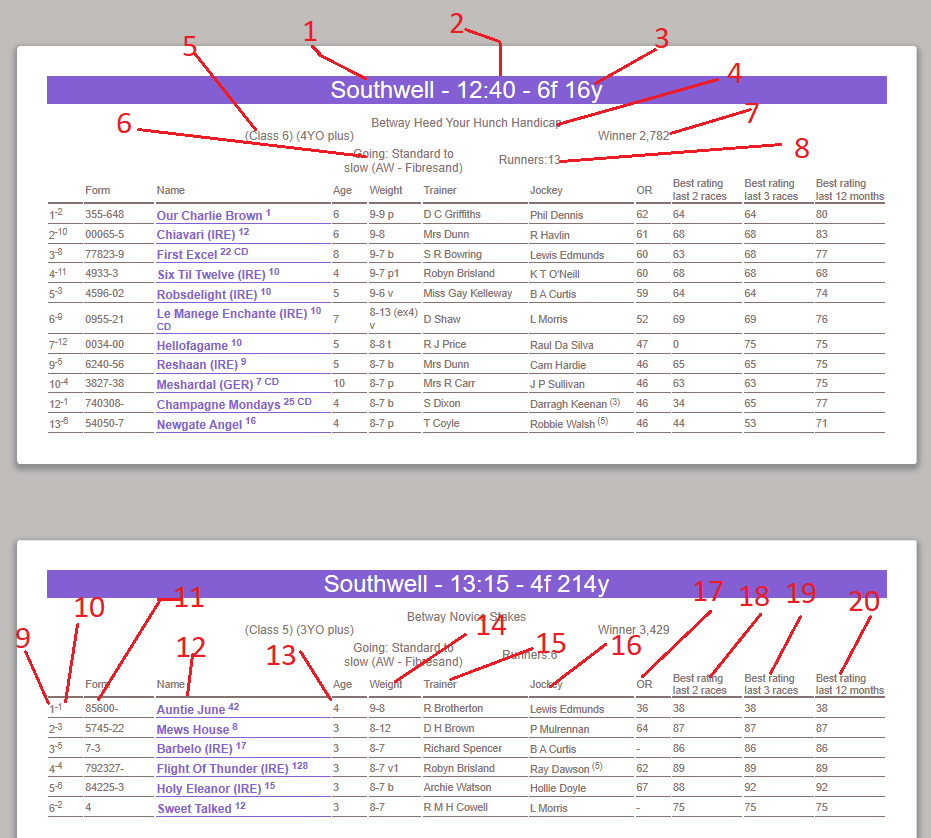 Horse Racing Racecard Summary